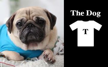 Whimsical Wednesday: The Dog T shirt